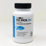 Fish Mox 250mg 100 Capsules