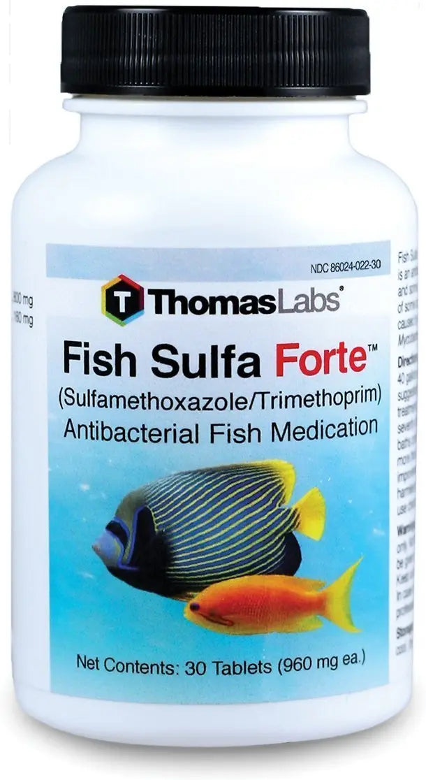 fish sulfa forte Trusted Pet Pharmacy Thefishaid Fishaid