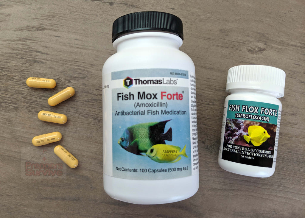 FDA warns Chewy kraft drug and fish antibiotics company