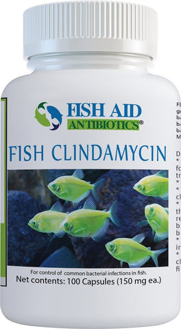 fish aid Clindamycin 