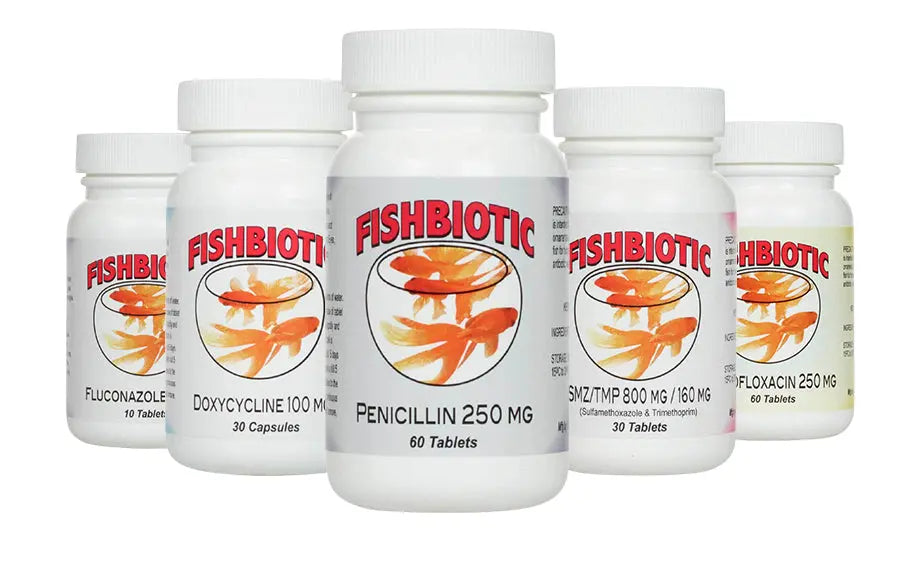 Fishbiotic fish antibiotics | The fish aid – Fish Antibiotics