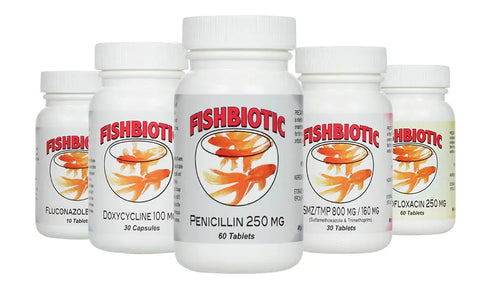 Fishbiotic antibiotics