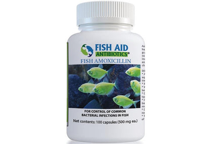 fish aid amoxicillin
