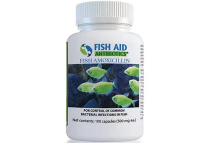 fish aid amoxicillin