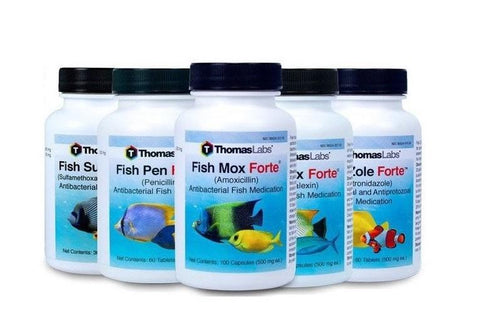 Thomas labs fish antibiotics