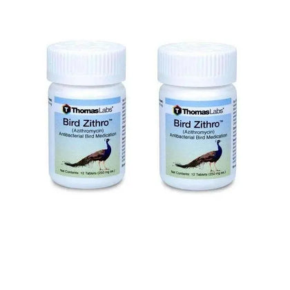fish zithro antibiotics 