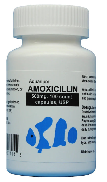Aquarium amoxicillin 