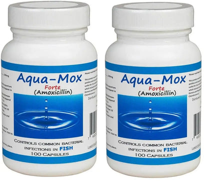 aqua mox Amoxicillin -  aqua antibiotics 