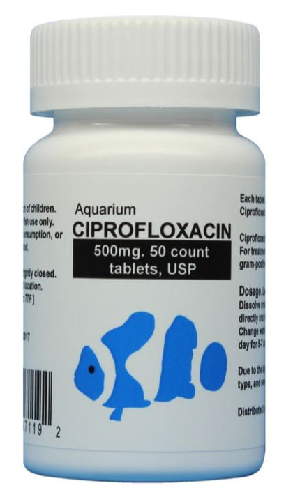 Aquarium Ciprofloxacin