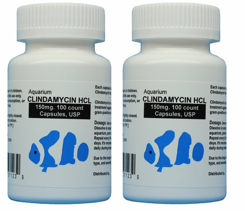 fish clindamycin