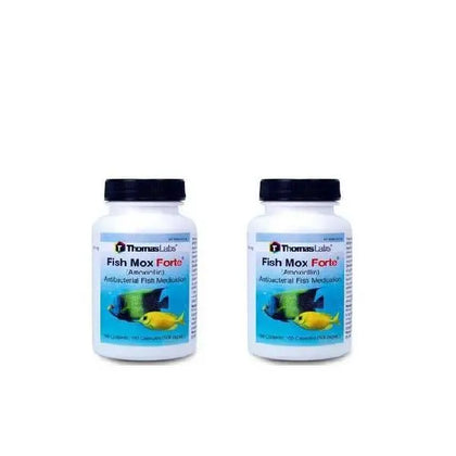 Thomas labs Fish Amoxicillin 500mg