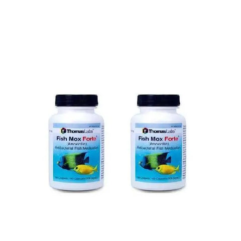 Thomas labs Fish Amoxicillin 500mg