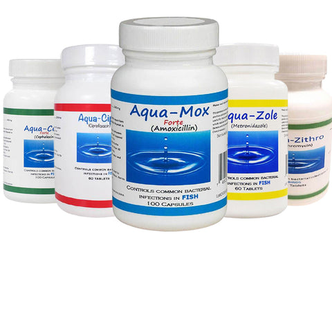 Fish aqua antibiotics