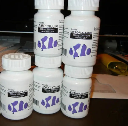 Aquarium antibiotics kraft drug fish antibiotics
