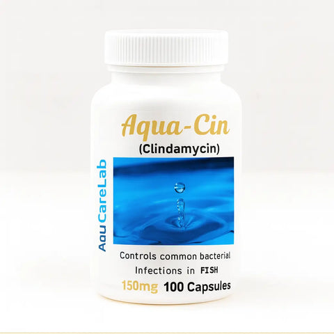 Aqua Cin (Clindamycin) 150 mg 100 Capsules – Fish Antibiotics 