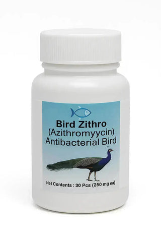Bird Zithro Azithromycin 250 mg Tablets (30 Count)