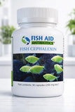 Fish Aid Cephalexin - Fish Antibiotics 250 mg 100 capsules 