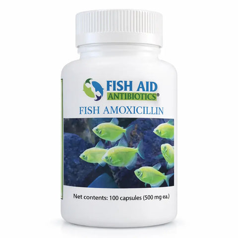Aquarium Amoxicillin 500 mg Capsules 100 Count | Ornamental Fish Use ...