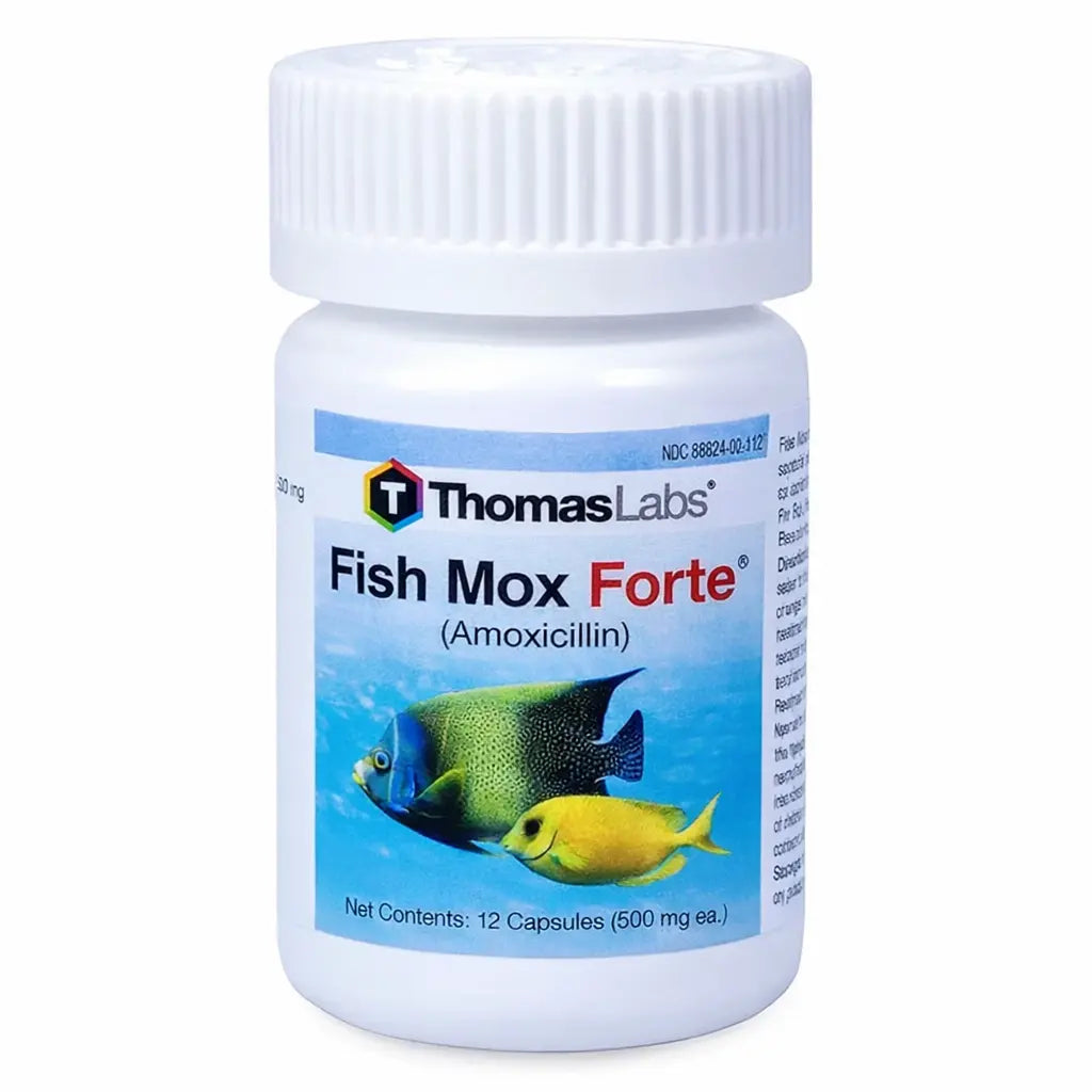 Aquarium Amoxicillin 500 mg Capsules 100 Count | Ornamental Fish Use ...