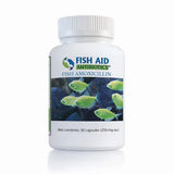 Fish Aid Amoxicillin - fish aid Antibiotics 250 mg 100 capsules 