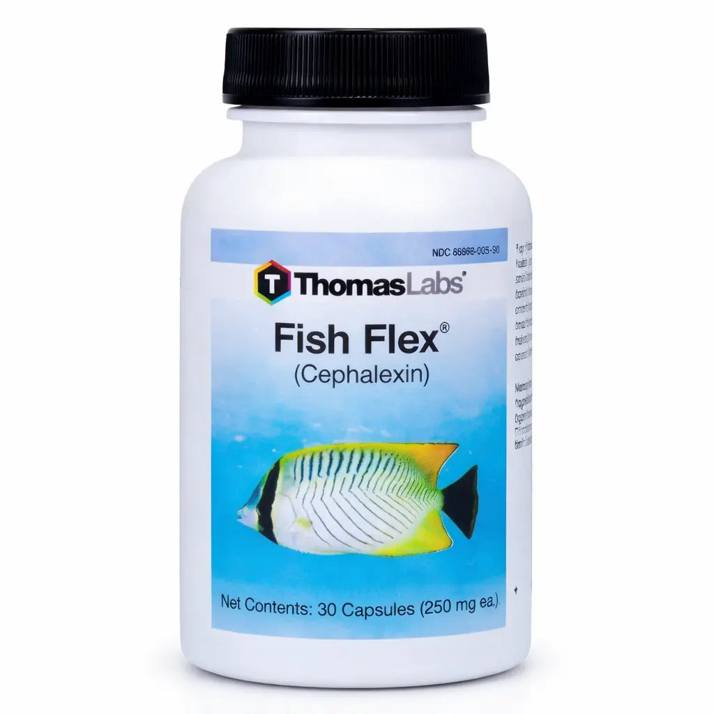 Fish Flex Cephalexin 250 100 Count : Trusted Pet Pharmacy | Thefishaid ...