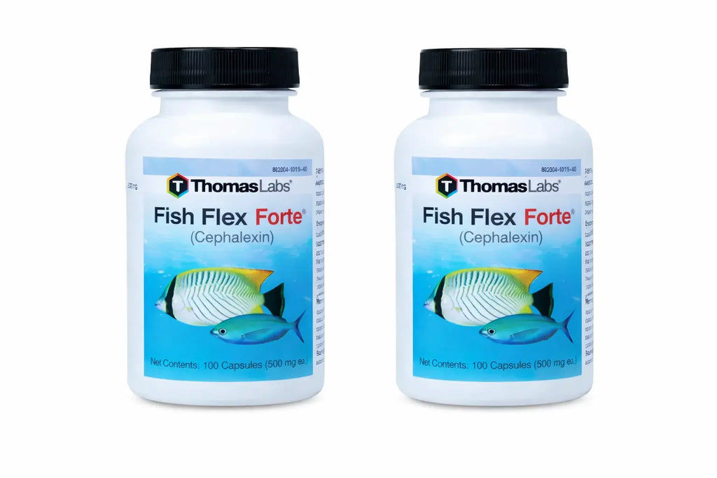 Aquarium Cephalexin 500 mg Capsules 100 Count 2 Pack | USP Grade – Fish ...