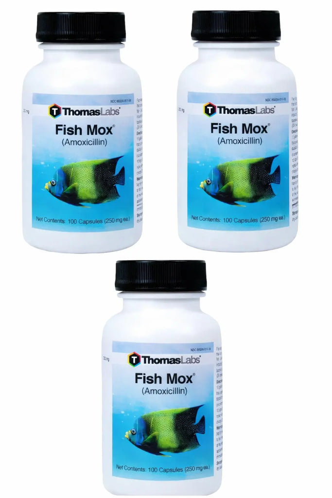 Fish Mox - Amoxicillin 250 mg - 3 Packs : Trusted Pet Pharmacy ...
