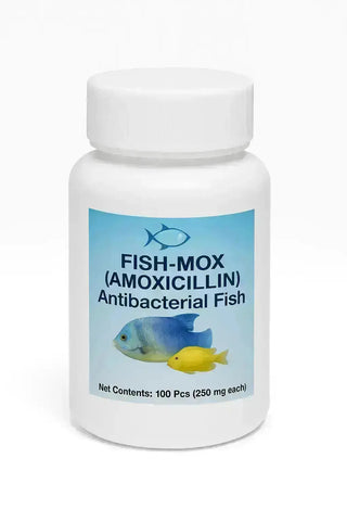 Fish Mox Forte Amoxicillin 250 mg Capsules (100 Count)