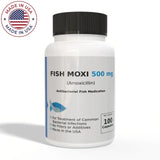 Fish 500mg - 100 Count