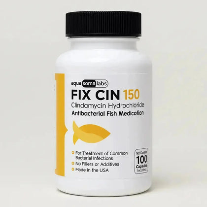 Fish Clindamycin 150 mg