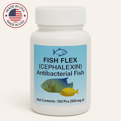 Aqua Cephalexin - 500mg 100 Capsules - 1 Pack 
