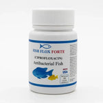 Fish Flox 500 mg 30 Count