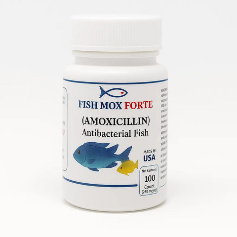 Fish Aid Amoxicillin - fish aid Antibiotics 250 mg 100 capsules 