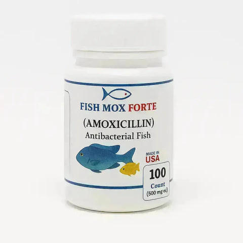 Thomas labs fish Amoxicillin 500mg 100 capsules 
