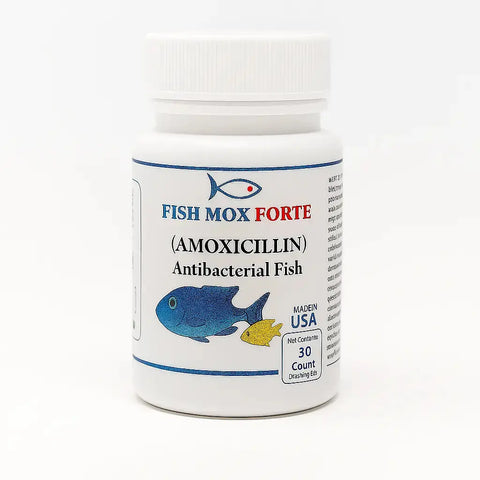 Fish Mox (Amoxicillin) 500mg – 30 Capsules 