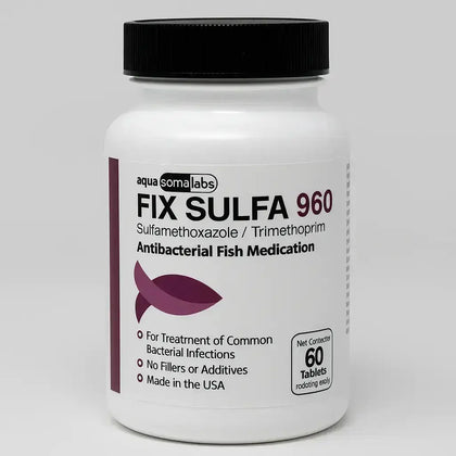 Sulfa 960mg