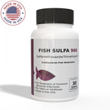 Bird And Fish Sulfa by Thomas Labs - Sulfamethoxazole 960 mg Tablets - 30 Count: Powerful Combination Antibiotic