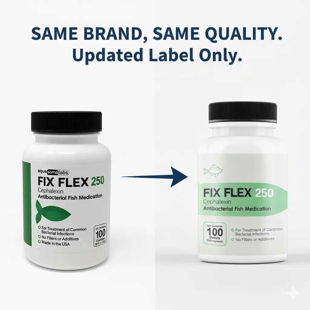 Fish Flex - Cephalexin 250 3 Packs | Trusted Pet Pharmacy | Thefishaid ...