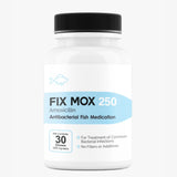 Aquarium Amoxicillin 500 mg Capsules – 100 Count 