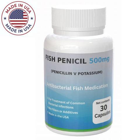 Fish Pen  Penicillin 500 mg 30 Tablets