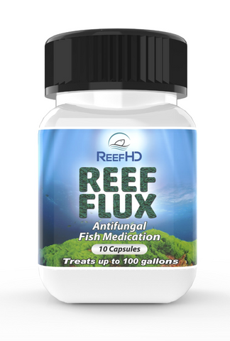 Fishbiotic Flucon Fish Antifungal - 200 mg 10 capsules
