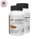 aqua Zithro - Azithromycin 250 mg Tablets - 30 Count - 2 Pack 