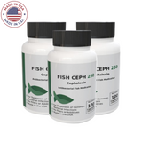 Fish ceph Cephalexin/Keflex 250 mg Capsules 100 Count 3 Packs By Thomas Labs