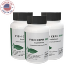 Fish Ceph - Cephalexin/Keflex 500 mg Capsules - 100 Count - 3 Pack by Thomas Labs