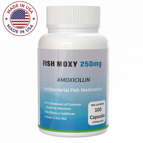 Aquarium amoxicillin 250 mg 100 capsules