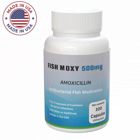 fish amoxicillin  500mg - 100 Count