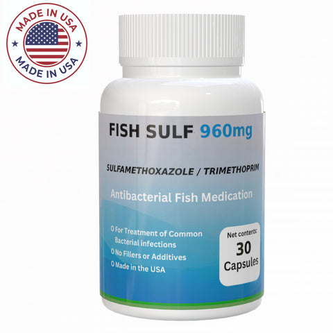 Fish aid  Sulfamethoxazole Trimethoprim  960mg  30 count