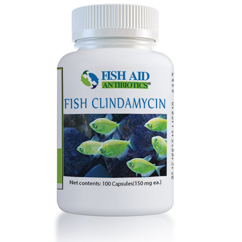 Fish aid Clindamycin