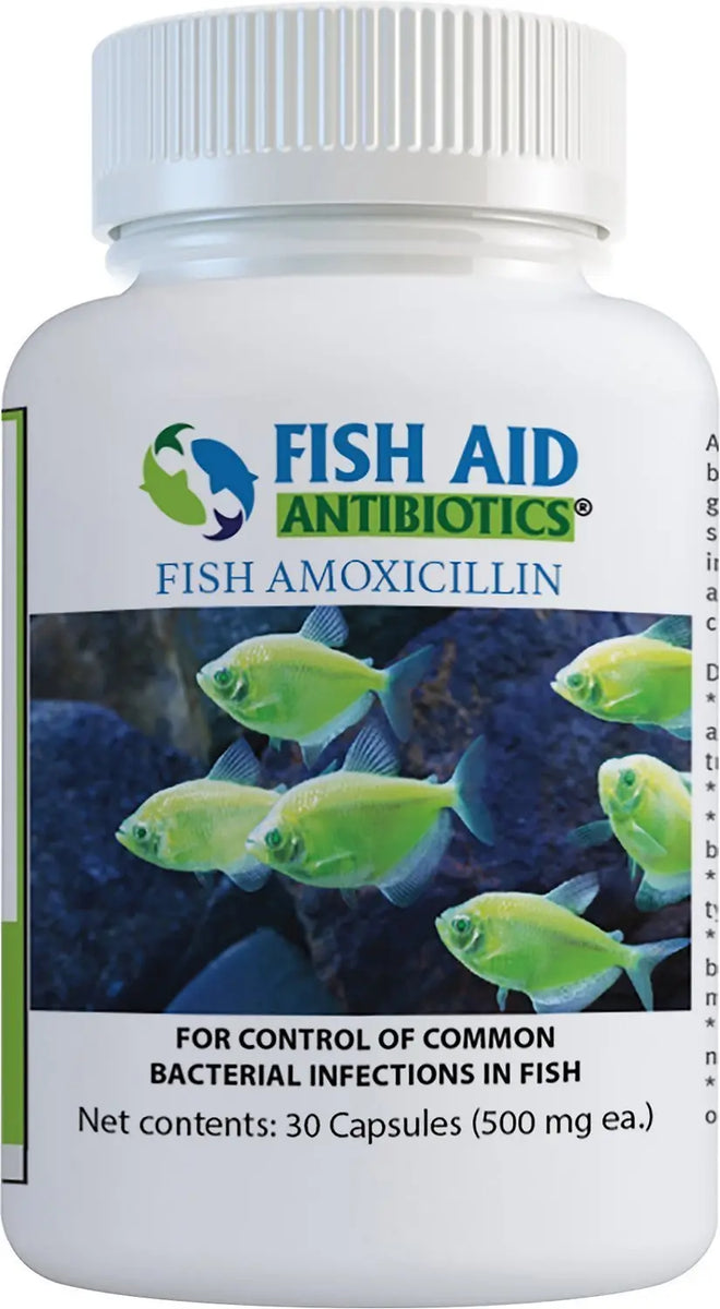Fish Aid Amoxicillin 500 mg 30 capsules Free Shipping Fishaid