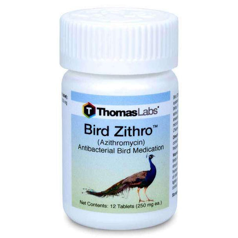 Bird Zithro - Azithromycin 250 mg Tablets - 12 Count